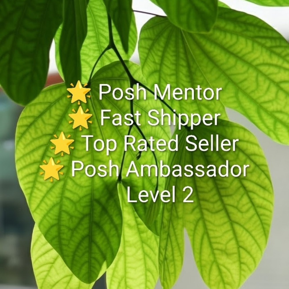 🏆Posh Ambassador 2 🏆